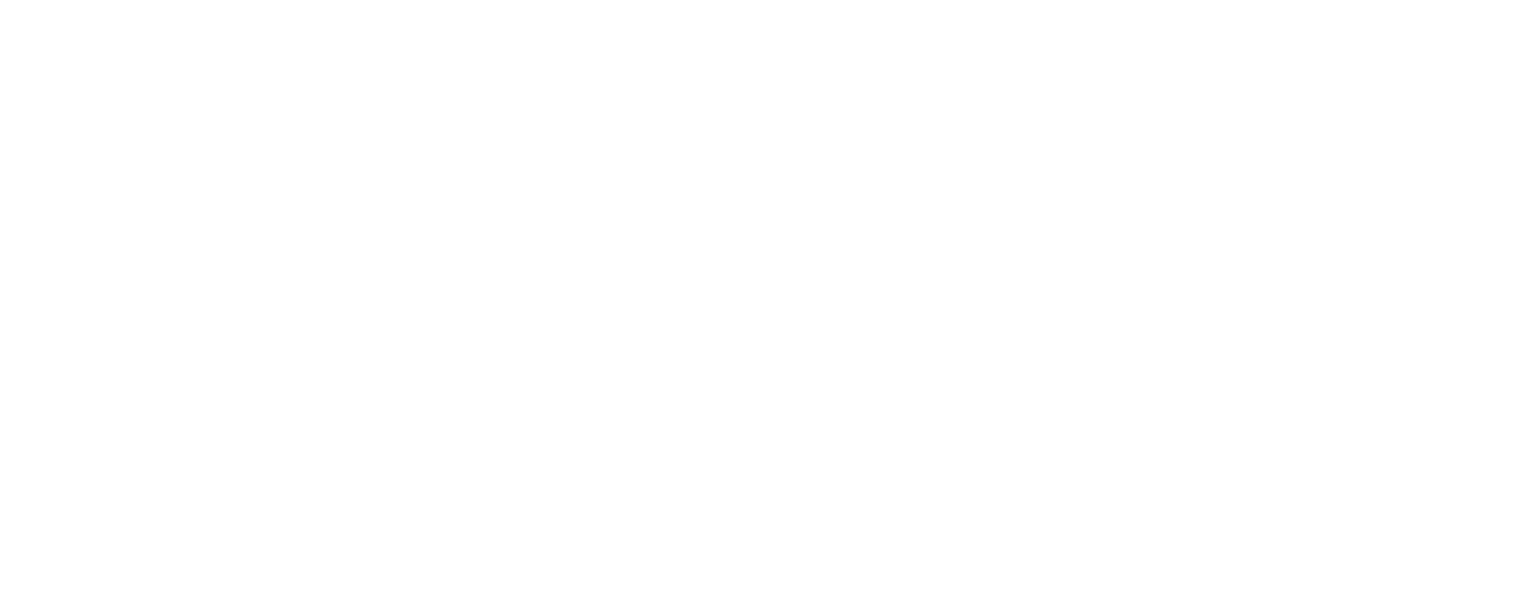 TorTer ID
